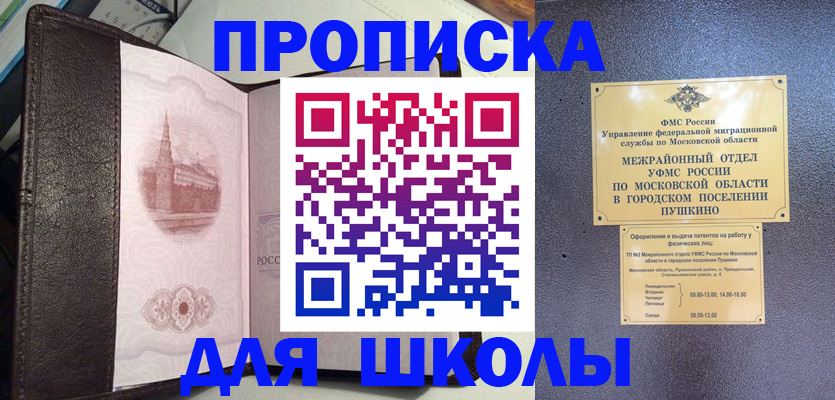 временная регистрация для школы в Пушкино